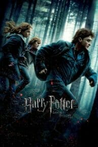 Harry Potter 7: and the Deathly Hallows: Part 1 (2010) แฮร์รี่ พอตเตอร์ 7: กับเครื่องรางยมทูต ภาค 1